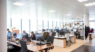 office workers