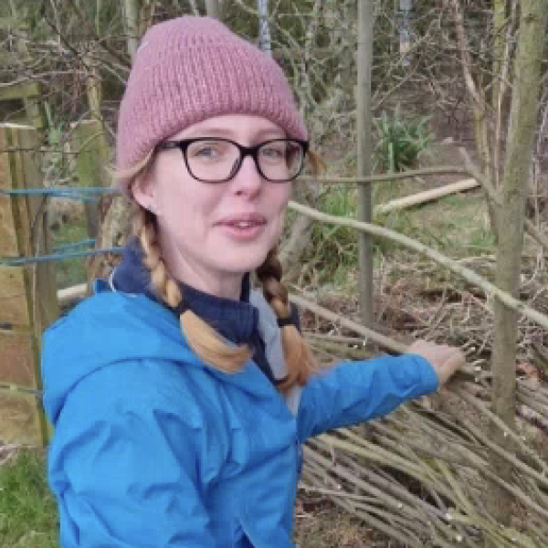 A woman knelt down fixing a woodland fence.